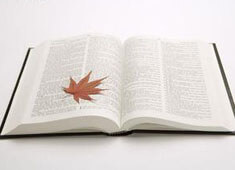 解构星朝矩阵，在数字大爆炸时代，重构商业引力的隐形巨网